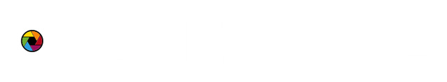 DT Media logo